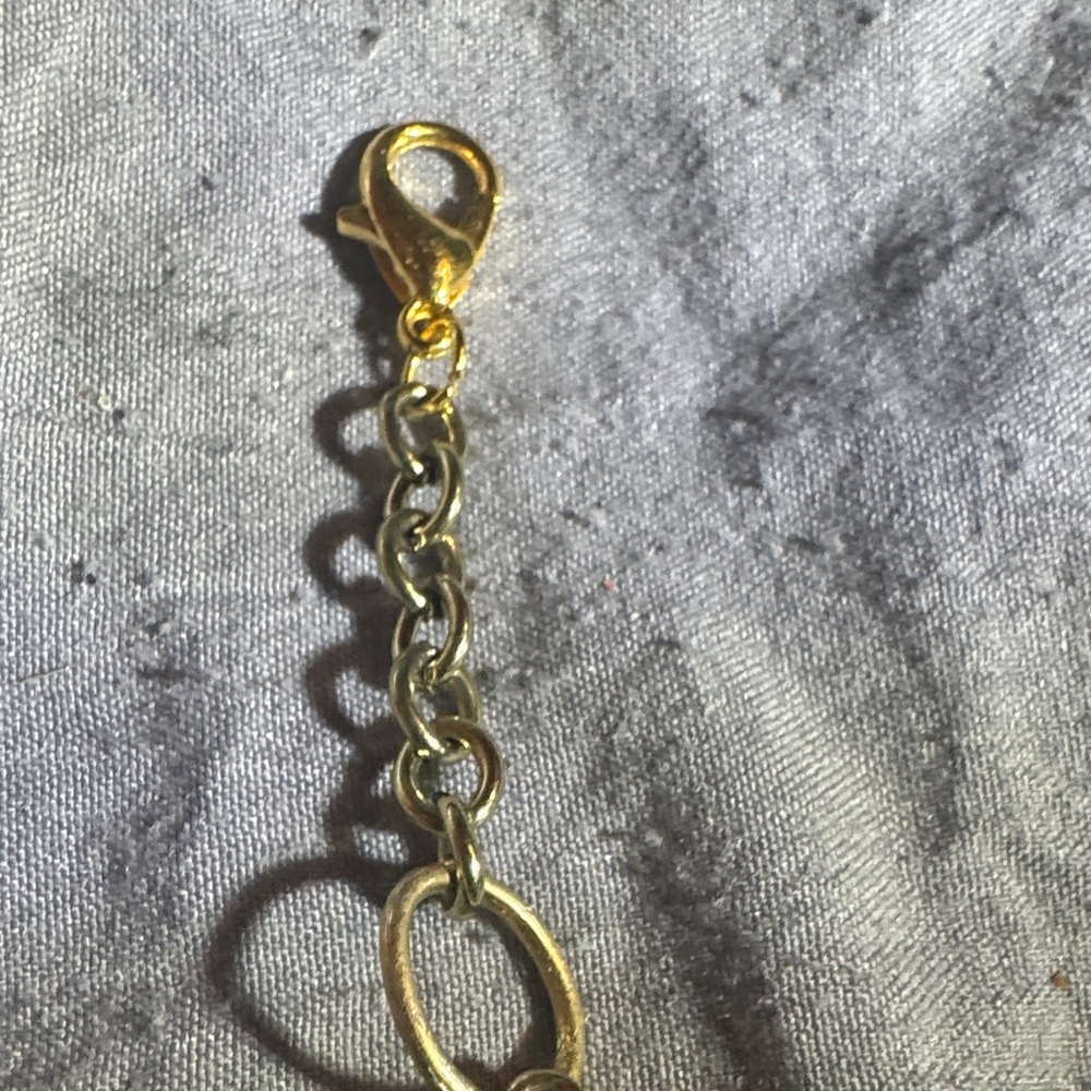 Elegant Gold and Black Chain Tassel Purse Charm - Picture 2 of 4